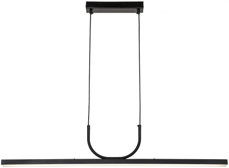 Подвесной светильник Favourite Raya 4096-1P (LED, 220V, на проводе)