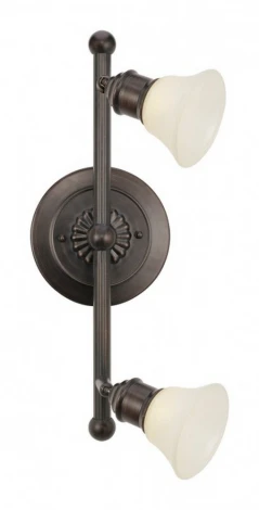 Спот Eglo Alamo 89058