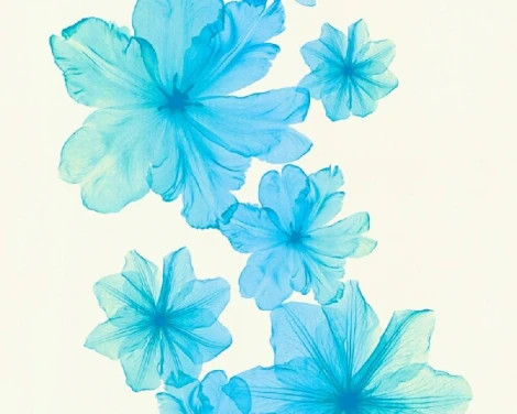 Обои виниловые A.S. Creation X-Ray 34272-5 10,05 x 0,53 м