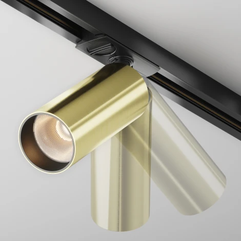 Трековый светильник однофазный 220V Maytoni Focus LED TR021-1-12W3K-W-BBS (круглые)