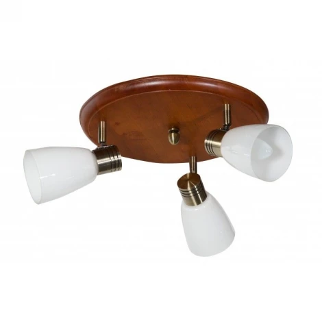 Спот Дубравия Анри 150-71-13