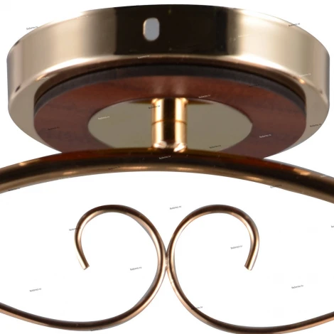 Потолочная люстра J-Light Eva 1504/2C