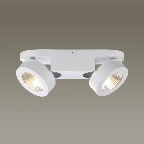 Спот Odeon Light Laconis 3538/2LC
