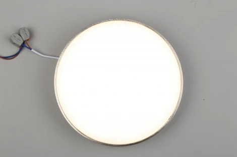 Потолочный светильник круглый Aployt Evon APL.0114.19.24 (LED, 220V, круглые)