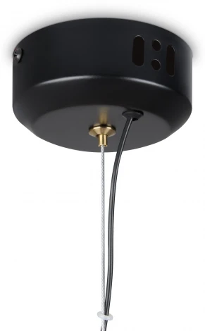 Подвесной светильник Freya Enchantment FR5384PL-L11R (LED, 220V, на проводе)