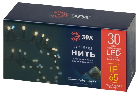 Гирлянда светодиодная Нить уличная 3 м теплый свет ЭРА ERAPS-WK3