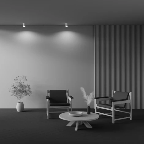 Накладной потолочный светильник Pauline GU10 1x10Вт Maytoni Technical C008CW-01W (220V)