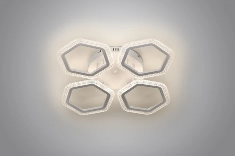 Потолочная люстра светодиодная с пультом Rivoli Nancy 6111-104