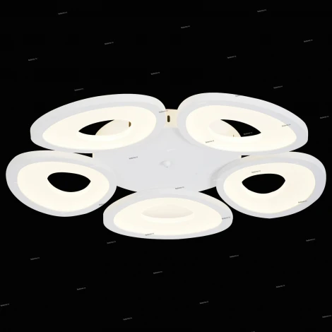 Потолочная люстра ST Luce Rista SL929.502.05