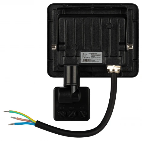 Прожектор уличный светодиодный с датчиком движения ЭРА LPR-04 LPR-042-2-65K-020