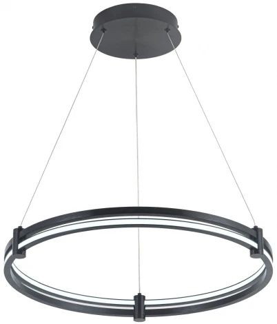 Подвесной светильник 4006/02/01P Stilfort (регулировка яркости, LED, 220V, пульт управления, на тросе, кольцо)