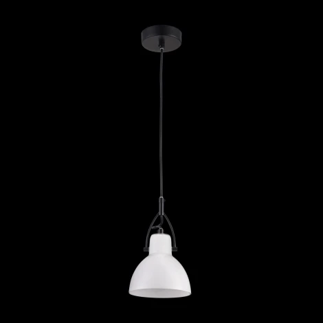 Подвесной светильник Maytoni Daniel MOD407-PL-01-B
