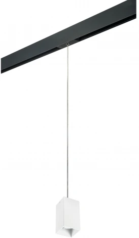 Трековый светильник однофазный 220V Lightstar Rullo PRORP6586