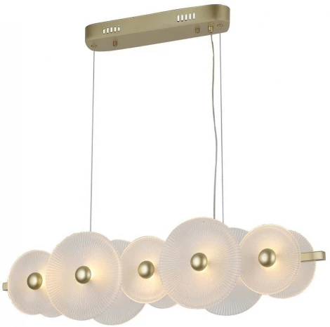 Подвесной светильник F-Promo Arctium 4605-5P (LED, 220V, на тросе)