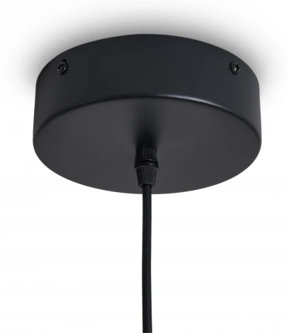 Подвесной светильник Freya True FR6181PL-L6B (LED, 220V, на проводе)