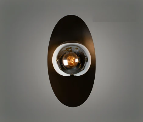 Настенный светильник Alfa Light F4124-59 (220V, шар)