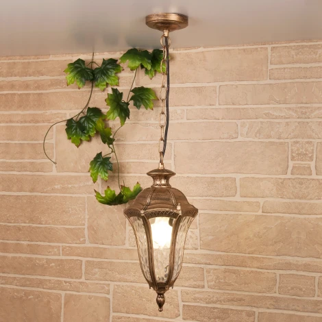 Уличный подвесной светильник 1010H Elektrostandard Draco GL a043121