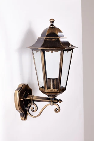 Уличный настенный фонарь Oasis Light PETERSBURG M 79801M/02 Gb (220V, фонарь, IP44)