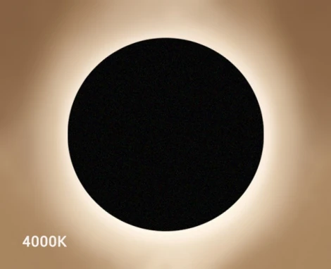 Настенный светильник Italline IT02-017 black (LED, 220V, круглые)