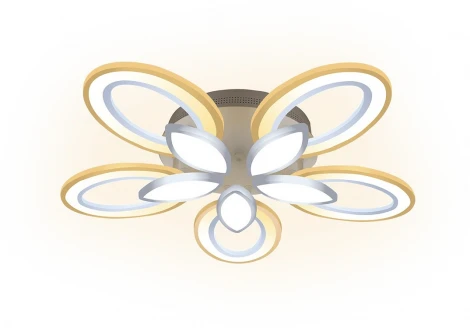 Потолочная люстра светодиодная с ДУ Ritter Como 52377 2