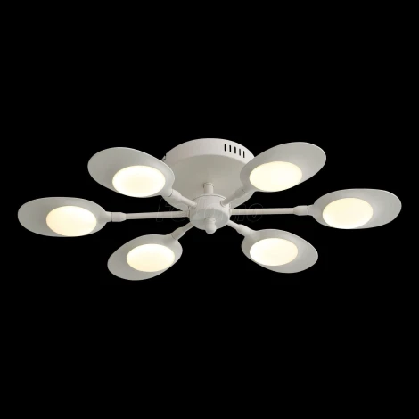 Потолочная люстра ST Luce Farfalo SL824.502.06