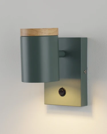 Спот с выключателем Moderli Asheswood V11294-1W (220V)