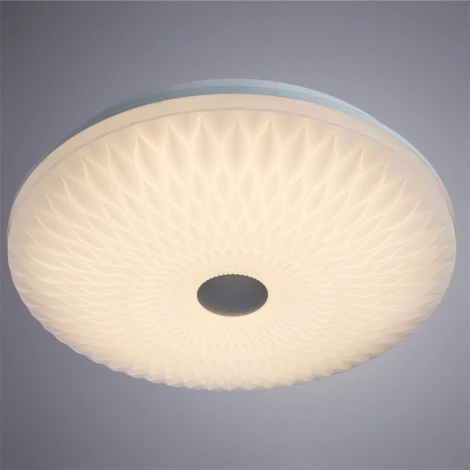 Потолочный светильник Arte Lamp Piastra A2460PL-1WH