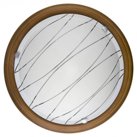 Настенно-потолочный светильник Toplight Gabrielle TL9610Y-00OA