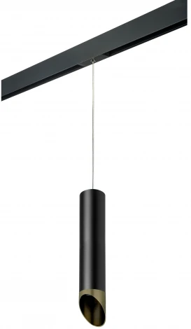 Трековый светильник однофазный 220V Lightstar Rullo PRORP497131 (круглые)