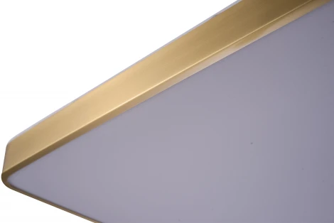 Потолочный светильник Zortes Monna ZRS.1209.05 (LED, 220V)