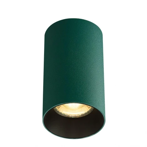 Потолочный светильник Citilux Axel CL512115 Зеленый