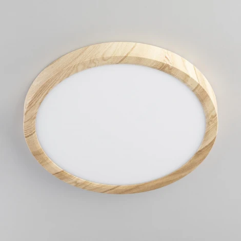 Настенно-потолочный светильник Citilux Бейсик CL738182V (регулировка яркости, LED, 220V, круглые, IP40)