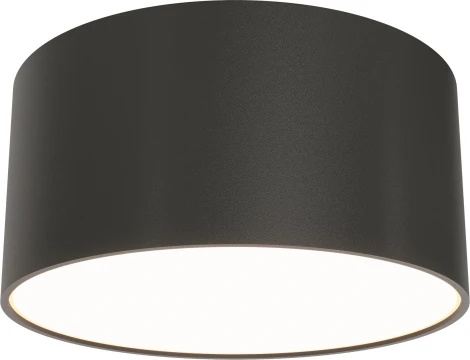 Потолочный светильник круглый Maytoni Zon C032CL-12W3K-RD-B (LED, 220V, круглые)