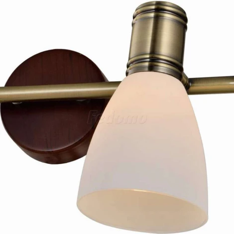 Спот Toplight Sharyl TL3720Y-04BB