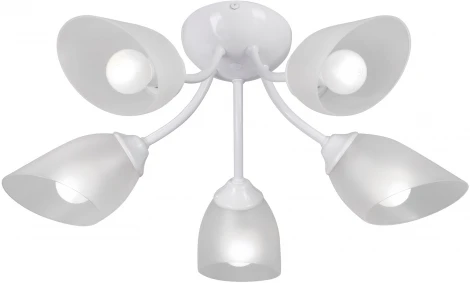 Потолочная люстра Vitaluce V3405-0/5PL (220V)