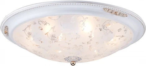 Потолочный светильник Maytoni Diametrik C907-CL-06-W