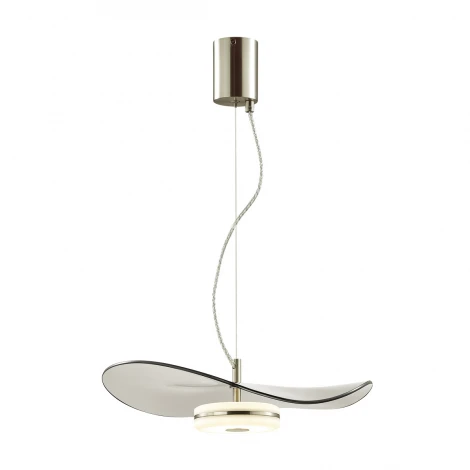 Подвесной светильник Odeon Light Fluent 4858/13L