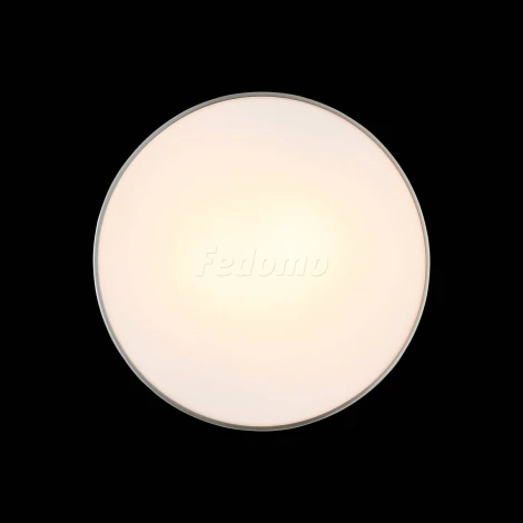 Настенно-потолочный светильник ST Luce Bagno SL468.502.02