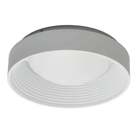 Потолочный светильник DeMarkt Ривз 674016601