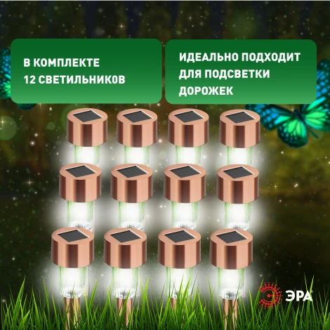 Грунтовый светильник на солнечной батарее 12 шт. ЭРА SL-SS30-CPR-M