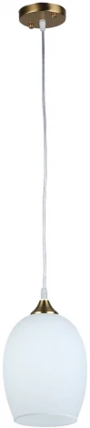 Подвесной светильник Arte Lamp Propus A4344SP-1PB (220V, на проводе)