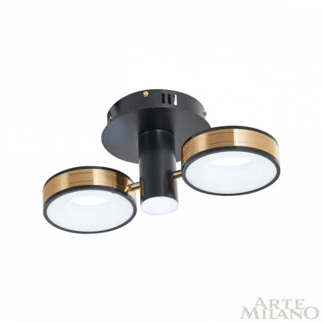 Потолочный светильник круглый Arte Milano 271040/2R BK/GD (LED, 220V)