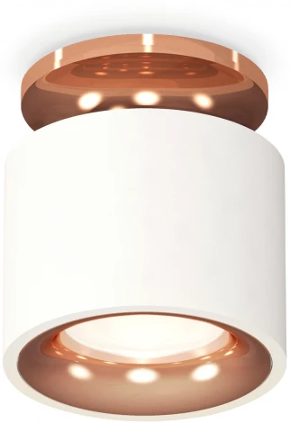 Накладной точечный светильник Ambrella Techno Spot XS7510141 (220V, круглые)