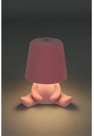 Настольная лампа светодиодная для детской с выключателем Aployt Olka APL.677.14.01 (для девочки)