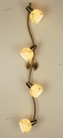 Спот на штанге Citilux Соната CL520543 (220V, цветы, круглые)