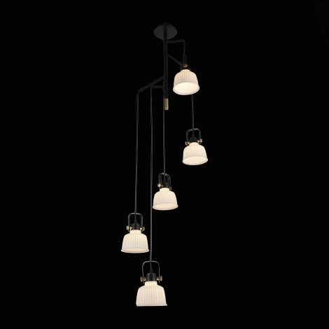 Подвесная люстра ST Luce Aletante SL714.443.05