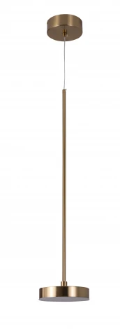 Подвесной светильник Zortes Lory ZRS.1055.01