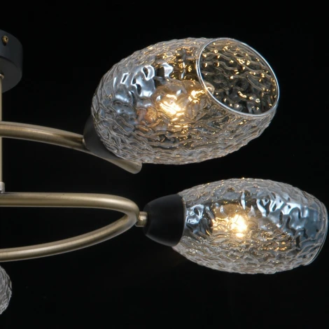 Потолочная люстра на штанге ILLUMICO IL0300-5CSQ-79 BK AB (220V)