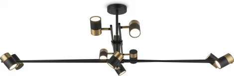 Потолочная люстра на штанге Freya Enzo FR5201PL-10B (220V)