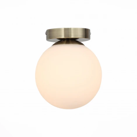 Настенно-потолочный светильник ST Luce Acini SL717.301.01